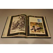 Настольная книга охотника — книга для мужчины — фотография 3